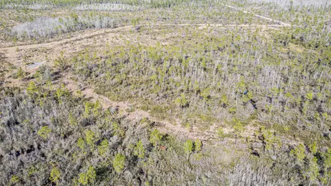 lot49 Circle Block Loop, Perry, FL 32348 photo 21