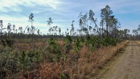 lot49 Circle Block Loop, Perry, FL 32348 photo 3