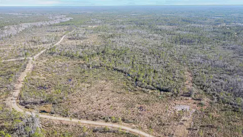 lot49 Circle Block Loop, Perry, FL 32348 photo 17