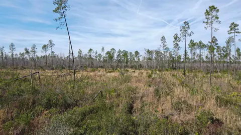 lot49 Circle Block Loop, Perry, FL 32348 photo 32