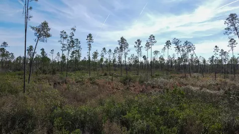 lot49 Circle Block Loop, Perry, FL 32348 photo 9