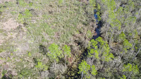 lot49 Circle Block Loop, Perry, FL 32348 photo 25