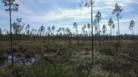 lot49 Circle Block Loop, Perry, FL 32348 photo 8