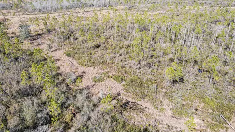 lot49 Circle Block Loop, Perry, FL 32348 photo 22