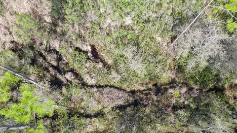 lot49 Circle Block Loop, Perry, FL 32348 photo 26