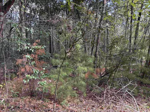 Sweetwater Lane, Tallahassee, FL 32311