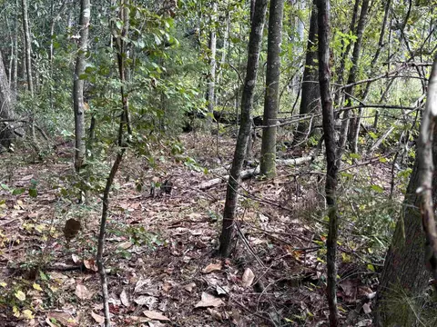 Nnnn Sweetwater Lane, Tallahassee, FL 32311