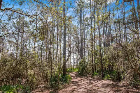 Other - 16570 District Dr, Lamont, FL 32336 photo 3 of 4