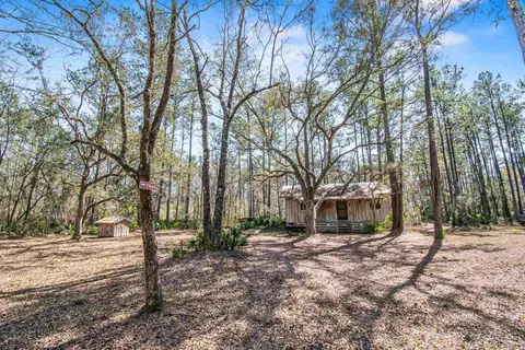 Exterior - 16570 District Dr, Lamont, FL 32336 photo 12 of 14