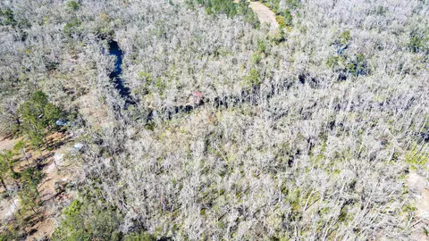 Other - 16570 District Dr, Lamont, FL 32336 photo 2 of 4