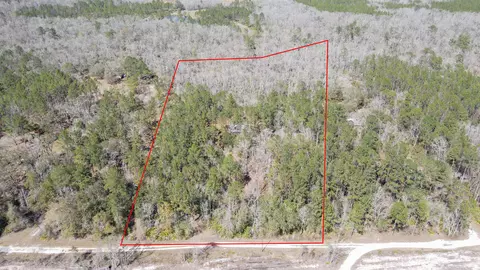 Other - 16570 District Dr, Lamont, FL 32336 photo 1 of 4