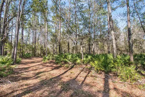 Exterior - 16570 District Dr, Lamont, FL 32336 photo 13 of 14
