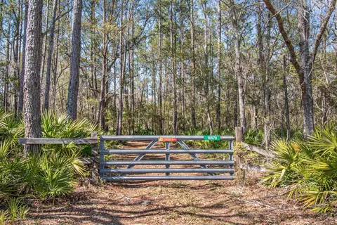 Other - 16570 District Dr, Lamont, FL 32336 photo 4 of 4