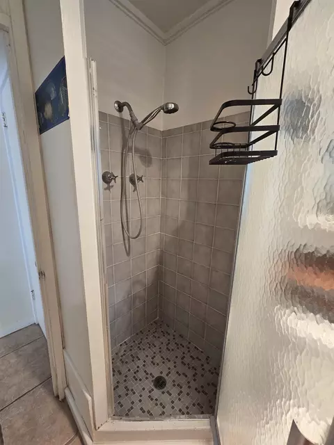 Bath - 51 E Pine St # -1, Carrabelle, FL 32322 photo 1 of 7