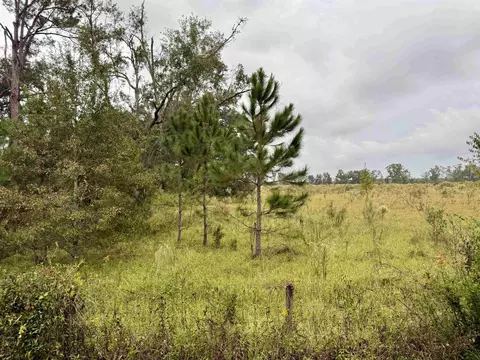 tbd 104th St, Live Oak, FL 32060