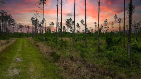lot50 Circle Block Loop Loop, Perry, FL 32348