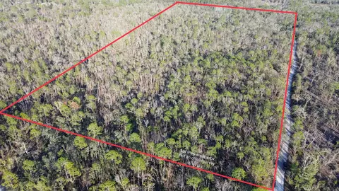 Vacant Clearwater Creek Lane, Perry, FL 32348