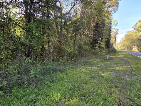 williams landing road LOT S 25, Tallahassee, FL 32310