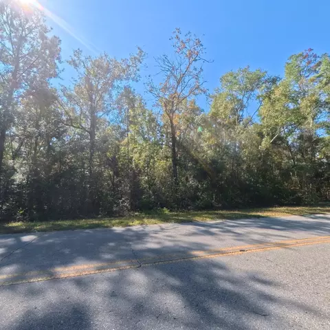 Vacant Ira L. Smith Rd Road, Perry, FL 32357