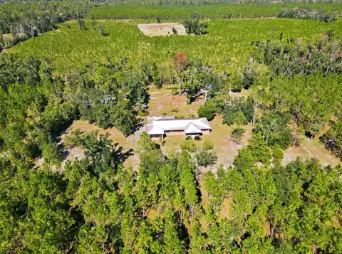 View/Area - 154 W Davis Walker Rd, Perry, FL 32348 photo 5 of 6