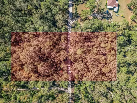 Nnn Luke Smith Road, Crawfordville, FL 32327