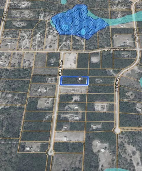 0 Caribeean Ct, Perry, FL 32348 photo 6