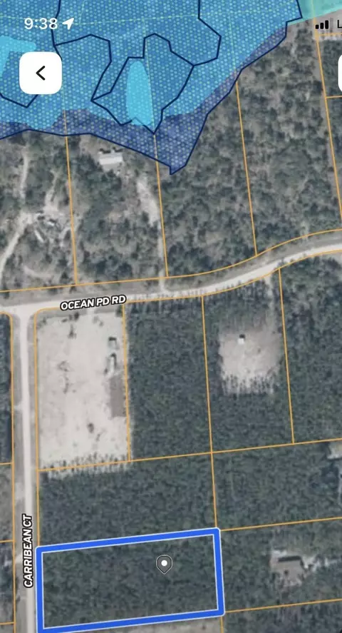 0 Caribeean Ct, Perry, FL 32348 photo 5