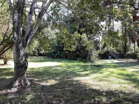 119 Apalachee St, Carrabelle, FL 32322 photo 25