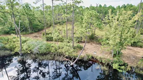 Nn Mill Road, Carrabelle, FL 32322 photo 6