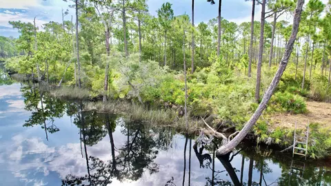 Nn Mill Road, Carrabelle, FL 32322 photo 8
