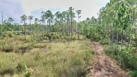 Nn Mill Road, Carrabelle, FL 32322 photo 13