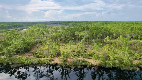 Nn Mill Road, Carrabelle, FL 32322 photo 5
