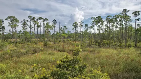 Nn Mill Road, Carrabelle, FL 32322 photo 12