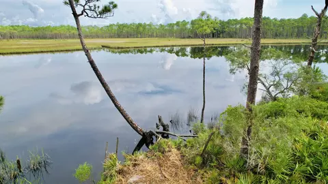 Nn Mill Road, Carrabelle, FL 32322 photo 15
