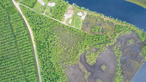 Nn Mill Road, Carrabelle, FL 32322