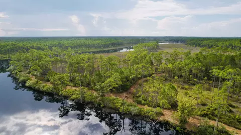 Nn Mill Road, Carrabelle, FL 32322 photo 4