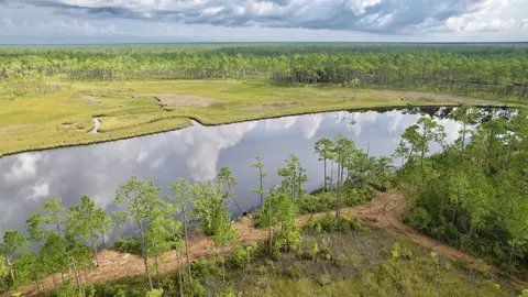 Nn Mill Road, Carrabelle, FL 32322 photo 3