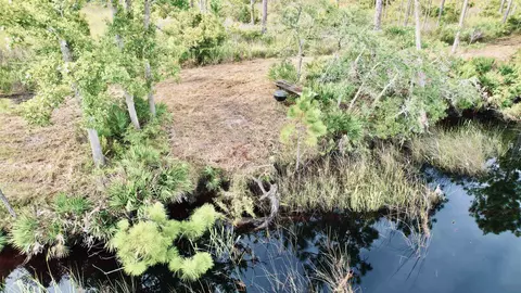 Nn Mill Road, Carrabelle, FL 32322 photo 9