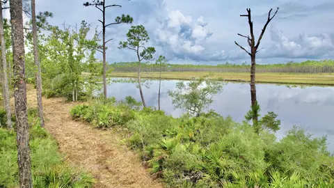 Nn Mill Road, Carrabelle, FL 32322 photo 17