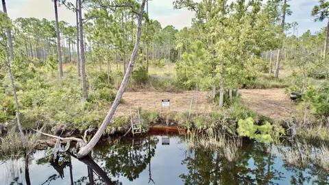 Nn Mill Road, Carrabelle, FL 32322 photo 7