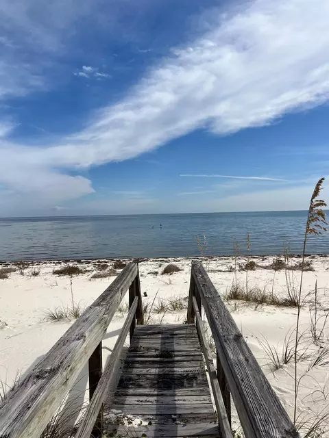 View/Area - 604 Bald Point Dr, Alligator Point, FL 32346 photo 4 of 5