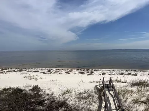 View/Area - 604 Bald Point Dr, Alligator Point, FL 32346 photo 5 of 5