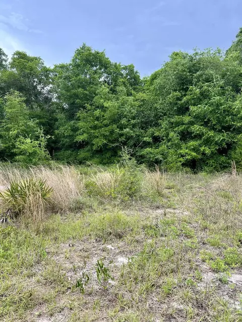 2523 Palmetto Ter, Lanark Village, FL 32323