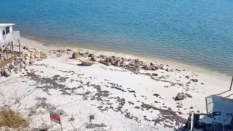 1269 Alligator Dr, Alligator Point, FL 32346 photo 4