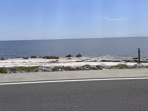 1269 Alligator Dr, Alligator Point, FL 32346 photo 3