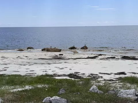 1269 Alligator Dr, Alligator Point, FL 32346 photo 2