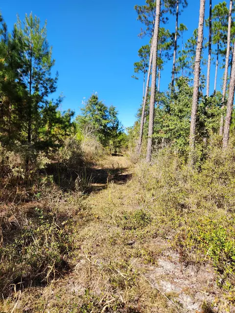 18193 NW 18193 Nw Ponderosa Trl, Bristol, FL 32321
