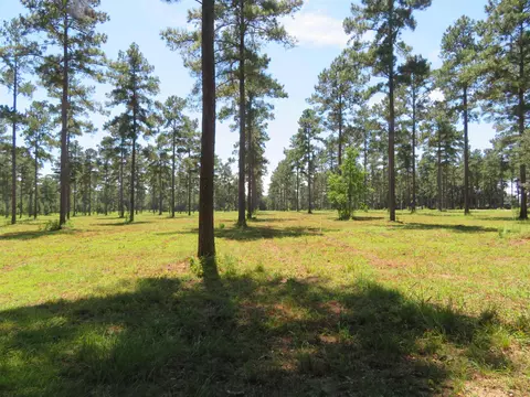 2 Solomon Dairy Road, Quincy, FL 32351