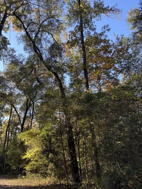 Nnn Bluebird Lane, Crawfordville, FL 32327