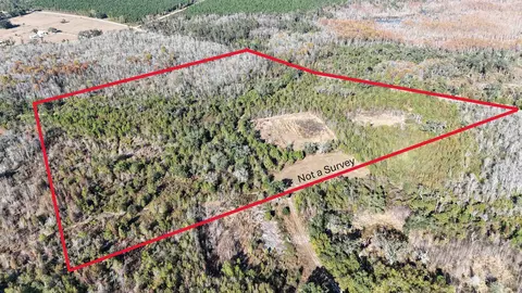 5000 NW Little Cat Rd, Madison, FL 32340